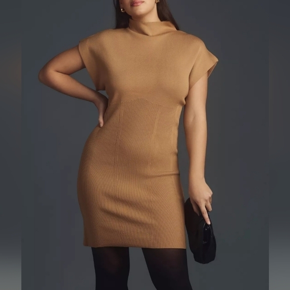 Anthropologie Mock Neck Cap Sleeve Mini Dress in Cedar Size XL NWT - Picture 4 of 16